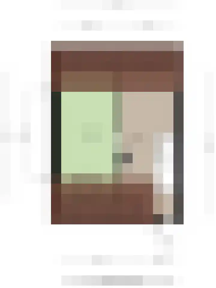 Kuifeend 40 Bedum thumbnail 60