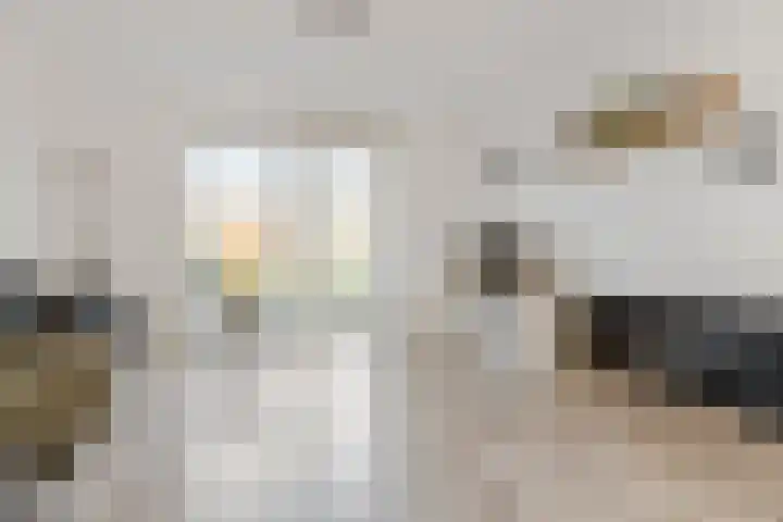 Kuifeend 46 Bedum thumbnail 10