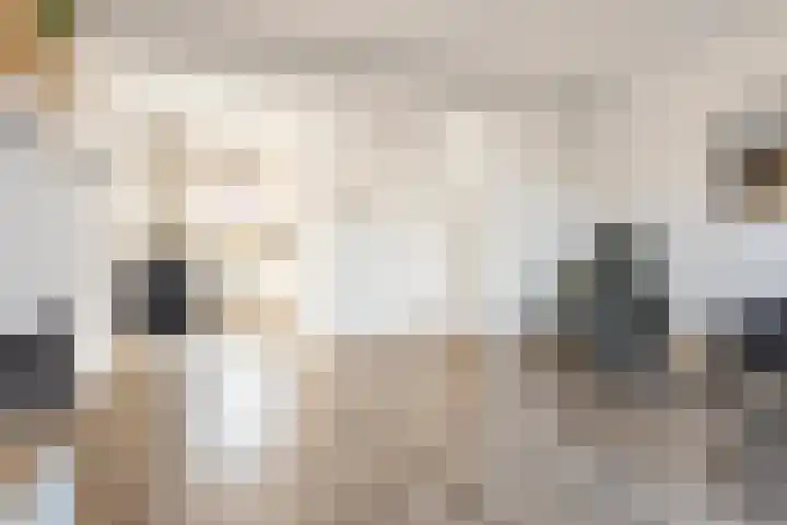 Kuifeend 46 Bedum thumbnail 13