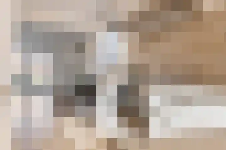 Kuifeend 46 Bedum thumbnail 18