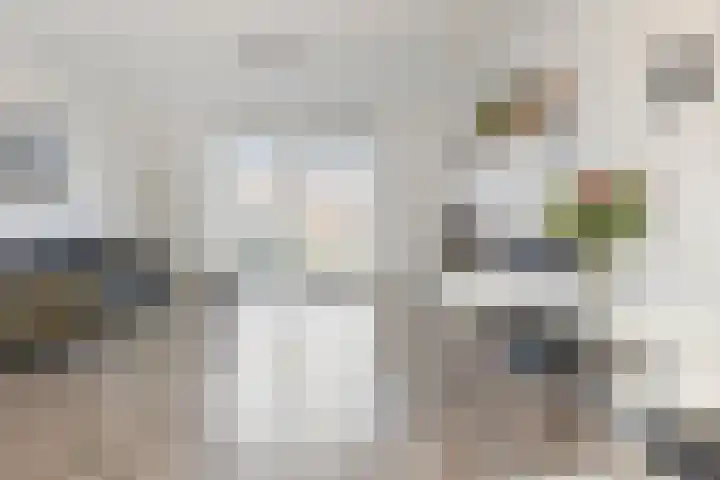 Kuifeend 46 Bedum thumbnail 19