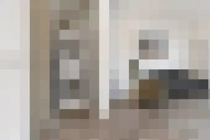 Kuifeend 46 Bedum thumbnail 20