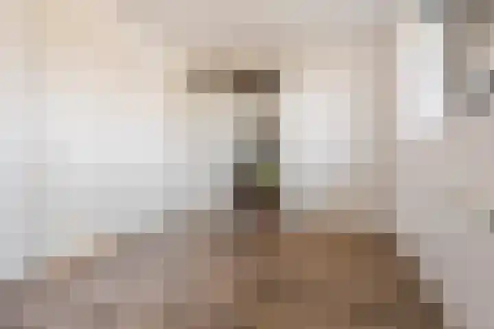 Kuifeend 46 Bedum thumbnail 25