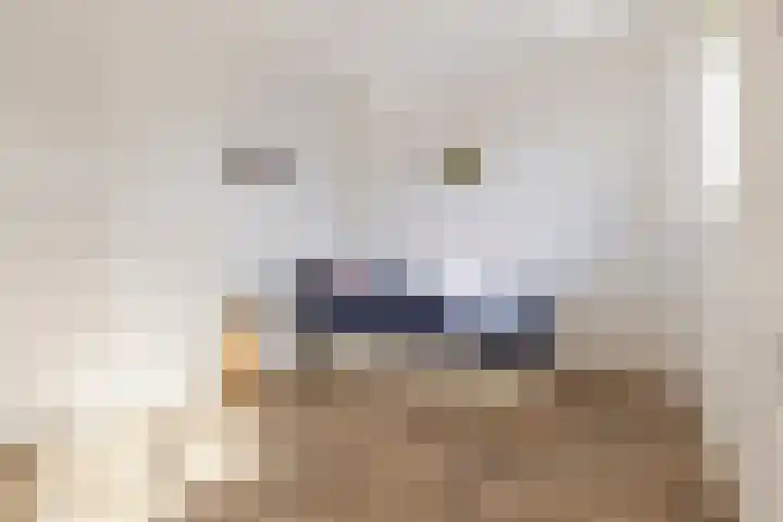 Kuifeend 46 Bedum thumbnail 27