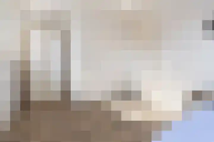 Kuifeend 46 Bedum thumbnail 28