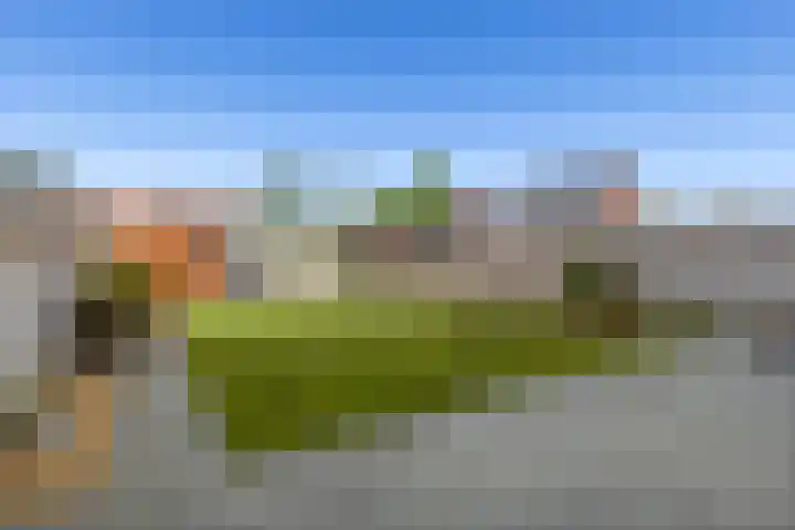 Kuifeend 46 Bedum thumbnail 32