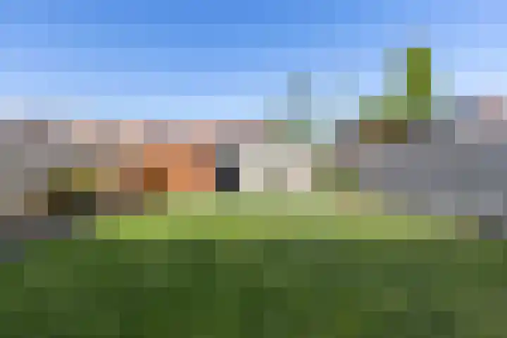 Kuifeend 46 Bedum thumbnail 33
