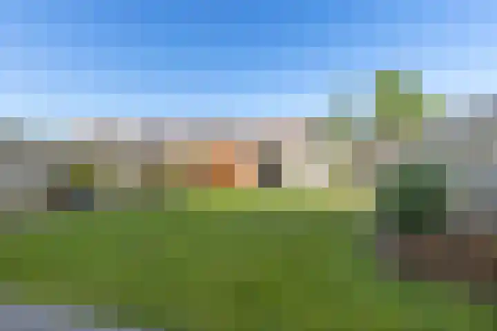 Kuifeend 46 Bedum thumbnail 34
