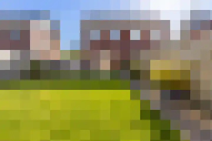 Kuifeend 46 Bedum thumbnail 36