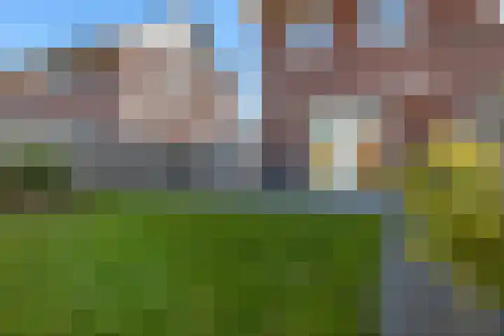 Kuifeend 46 Bedum thumbnail 37