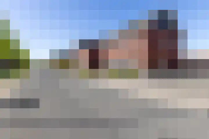 Kuifeend 46 Bedum thumbnail 38