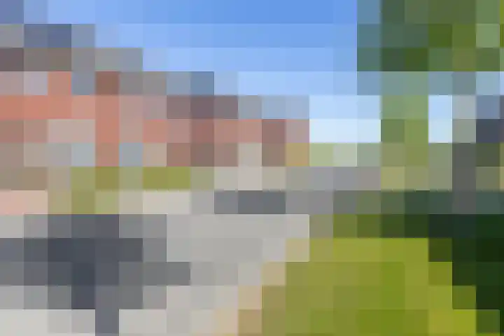Kuifeend 46 Bedum thumbnail 39