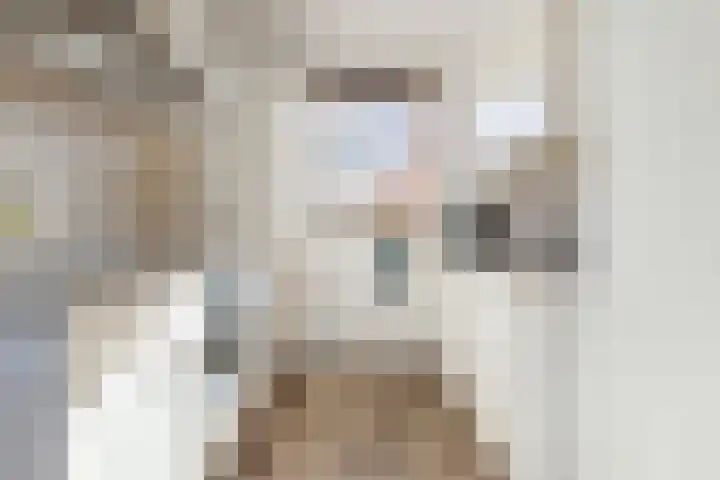 Kuifeend 46 Bedum thumbnail 4