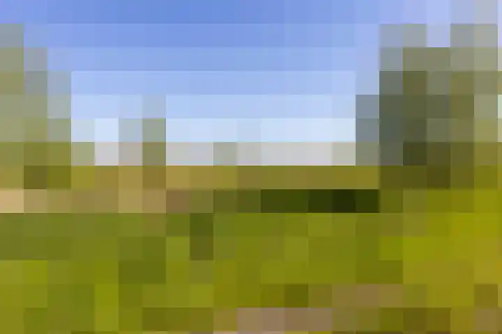 Kuifeend 46 Bedum thumbnail 41