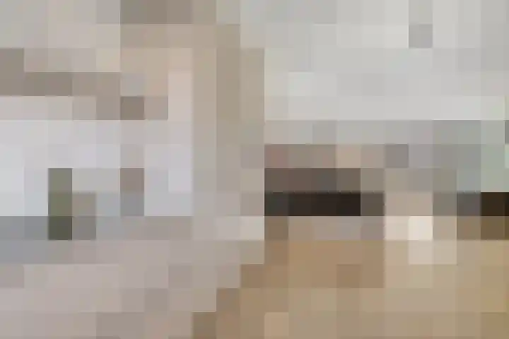 Kuifeend 5 Amstelveen thumbnail 14