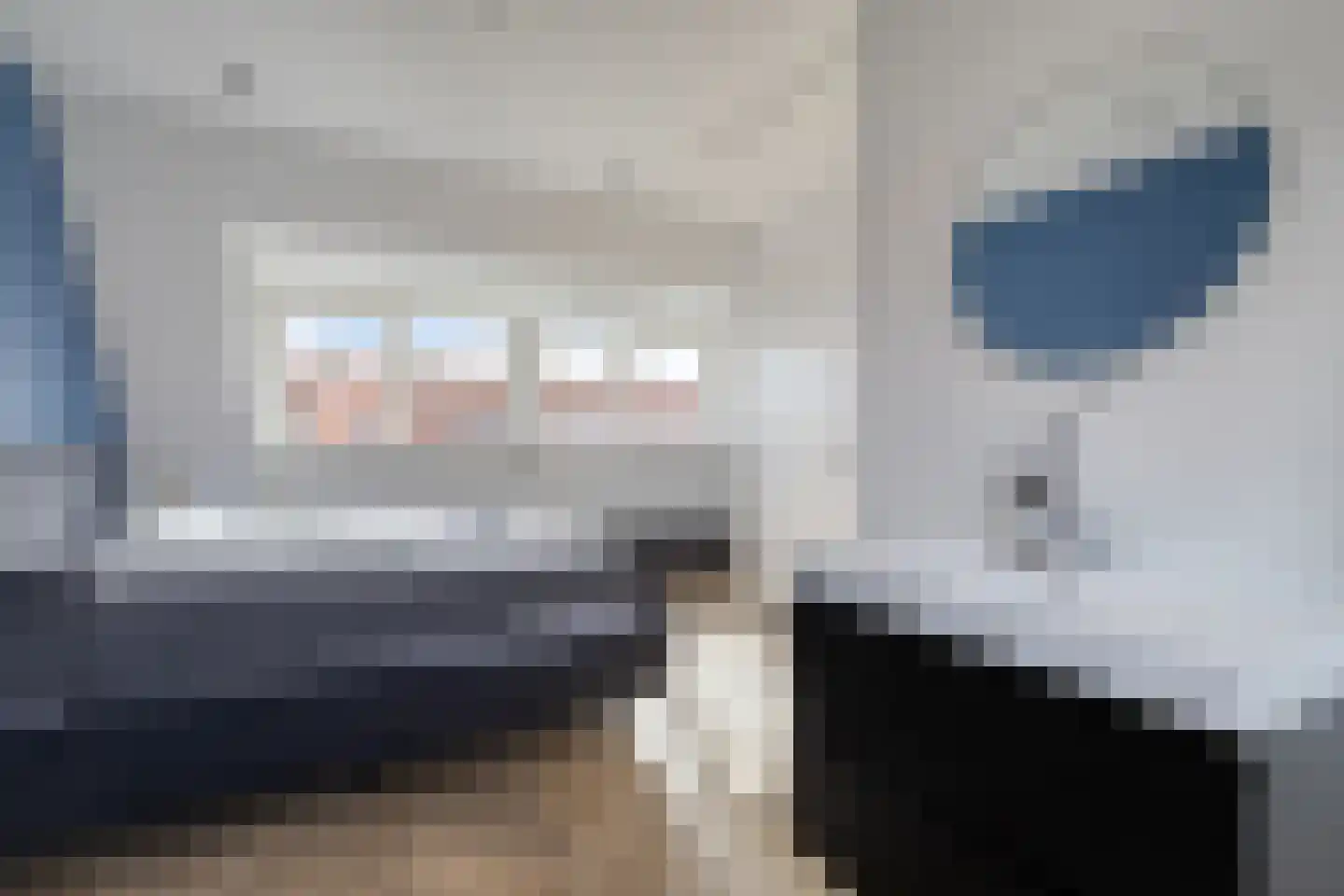 Kuifeend 5 Amstelveen thumbnail 17