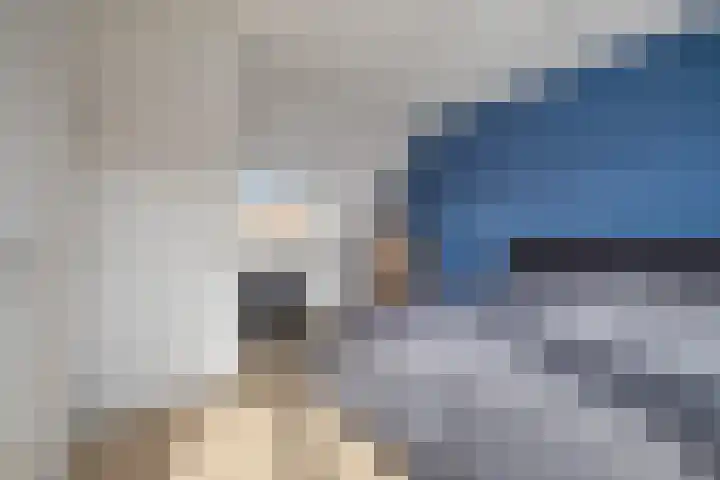 Kuifeend 5 Amstelveen thumbnail 18