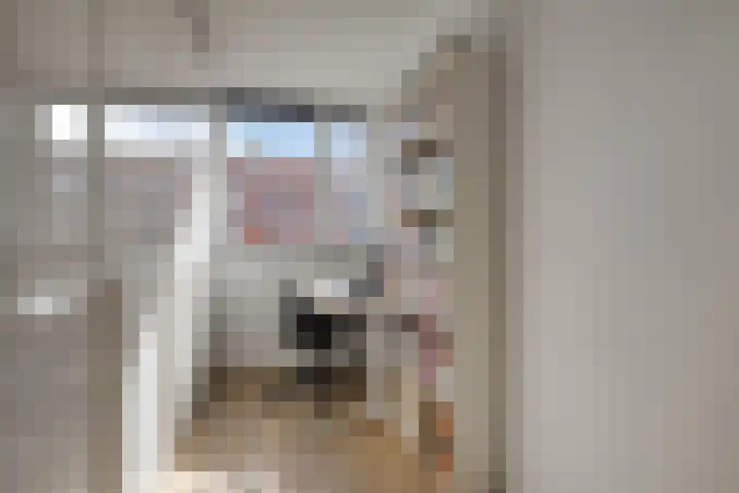Kuifeend 5 Amstelveen thumbnail 23