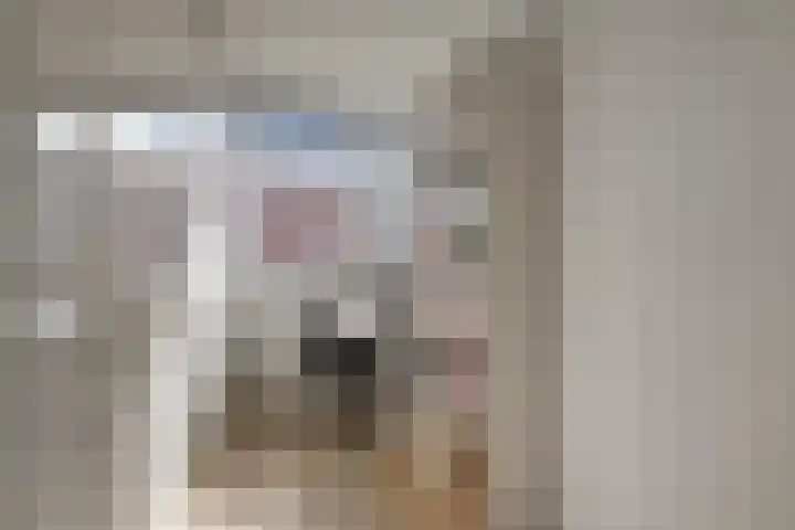 Kuifeend 5 Amstelveen thumbnail 23