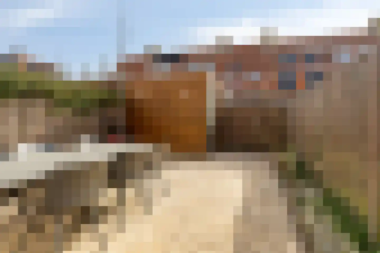 Kuifeend 5 Amstelveen thumbnail 26