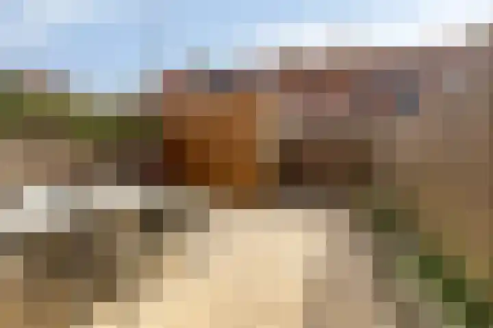 Kuifeend 5 Amstelveen thumbnail 26