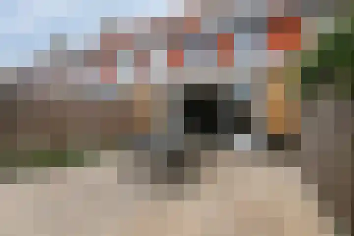 Kuifeend 5 Amstelveen thumbnail 27