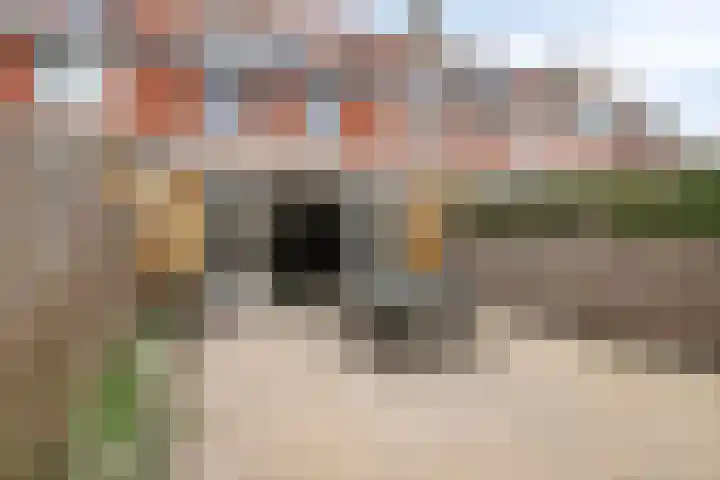 Kuifeend 5 Amstelveen thumbnail 28