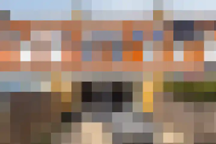 Kuifeend 5 Amstelveen thumbnail 29