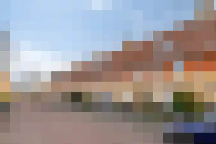 Kuifeend 5 Amstelveen thumbnail 31