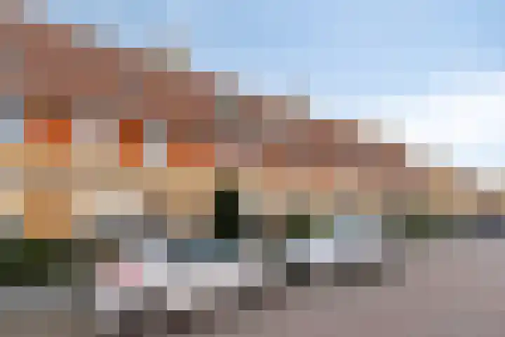 Kuifeend 5 Amstelveen thumbnail 32