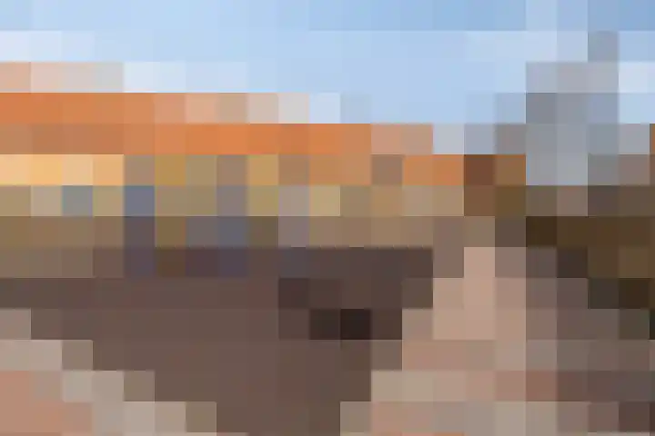 Kuifeend 5 Amstelveen thumbnail 33