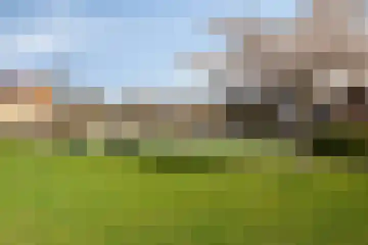 Kuifeend 5 Amstelveen thumbnail 34