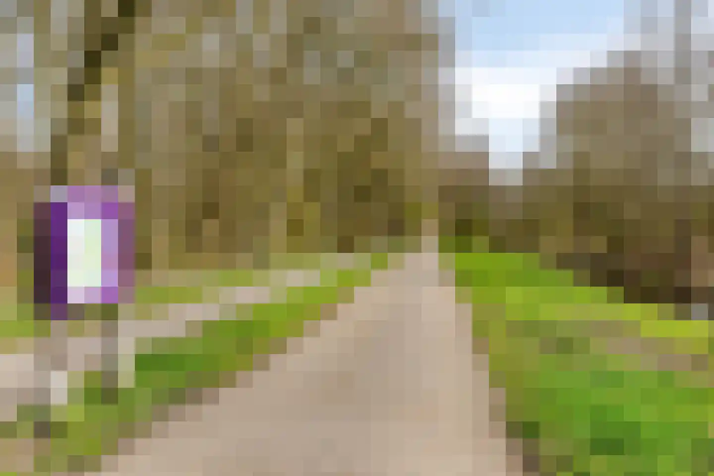 Kuifeend 5 Amstelveen thumbnail 35