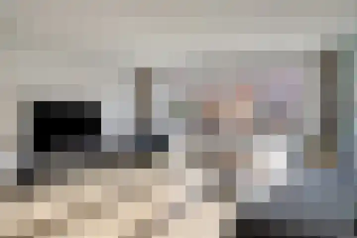 Kuifeend 5 Amstelveen thumbnail 5