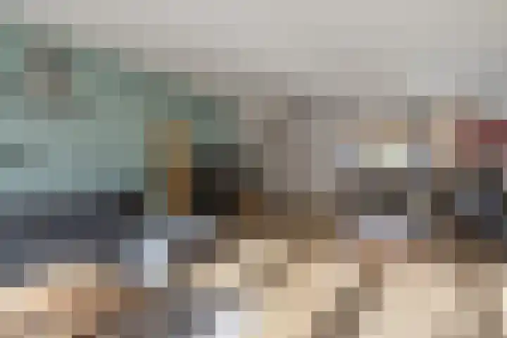 Kuifeend 5 Amstelveen thumbnail 6