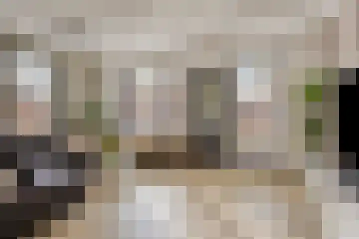 Kuifeend 51 Bedum thumbnail 10