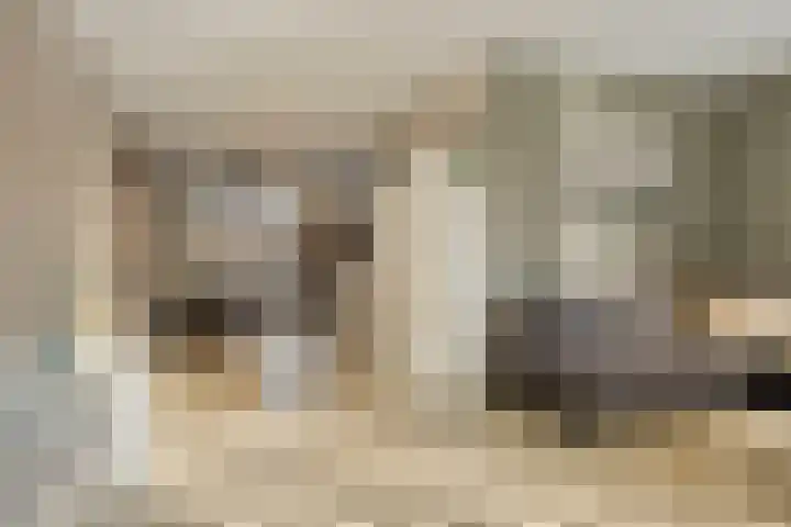 Kuifeend 51 Bedum thumbnail 15