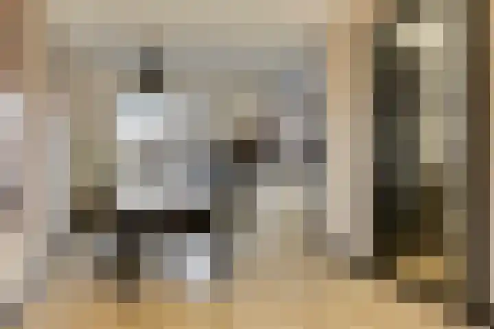 Kuifeend 51 Bedum thumbnail 16