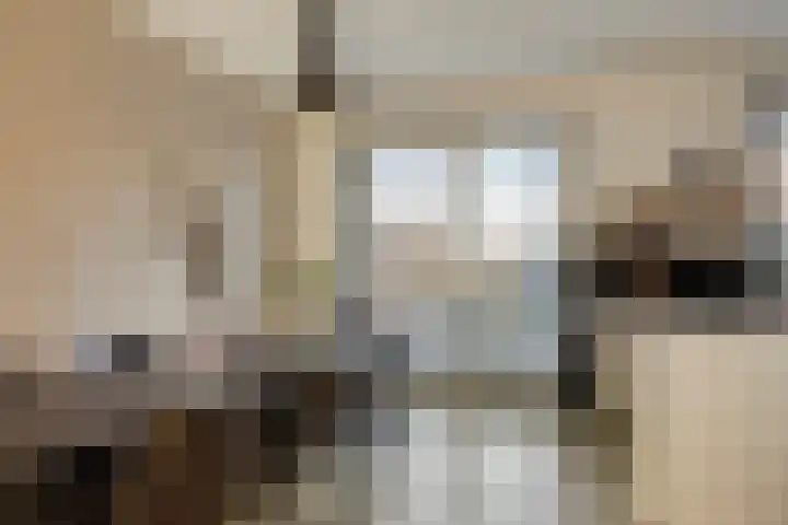 Kuifeend 51 Bedum thumbnail 17