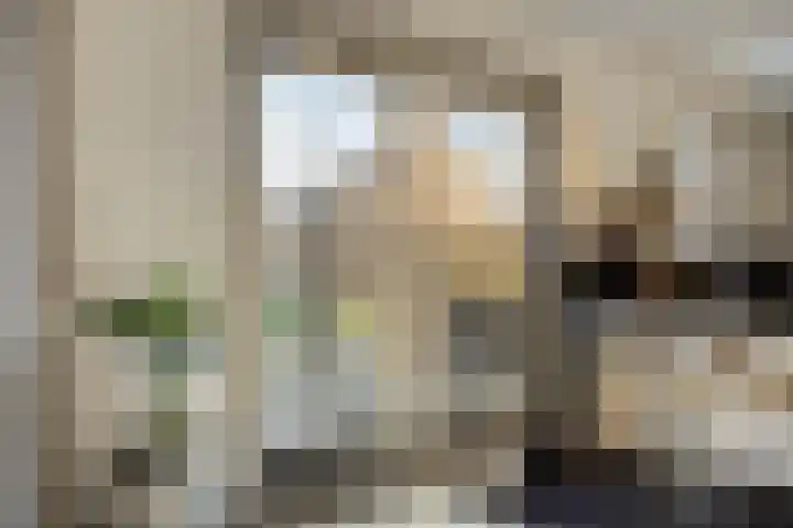 Kuifeend 51 Bedum thumbnail 18