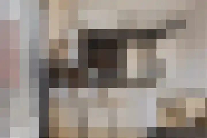 Kuifeend 51 Bedum thumbnail 21