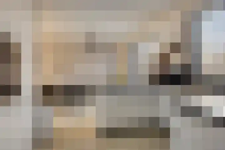 Kuifeend 51 Bedum thumbnail 24