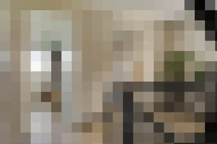 Kuifeend 51 Bedum thumbnail 26
