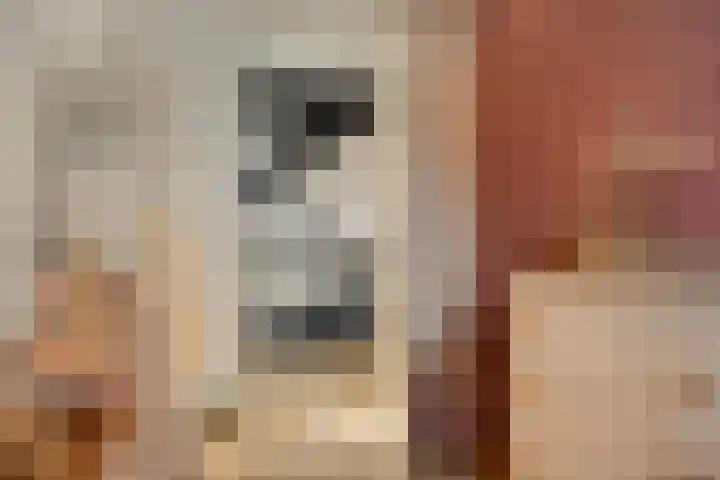 Kuifeend 51 Bedum thumbnail 28