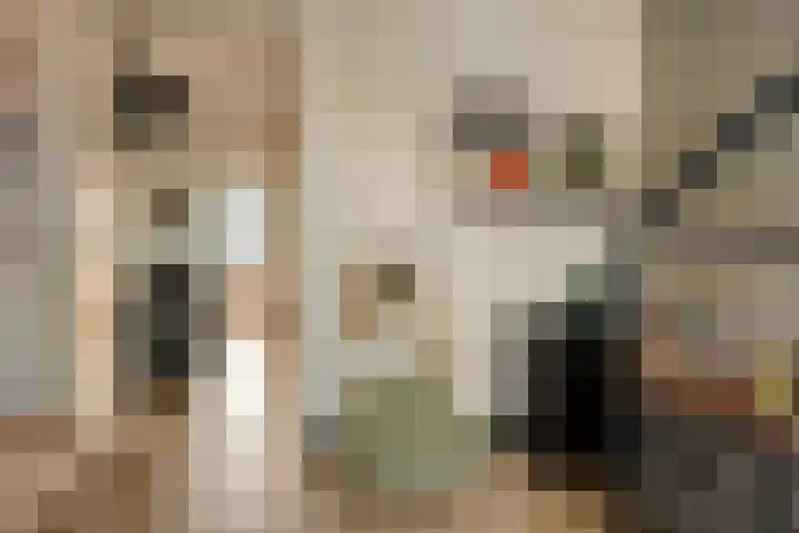 Kuifeend 51 Bedum thumbnail 30