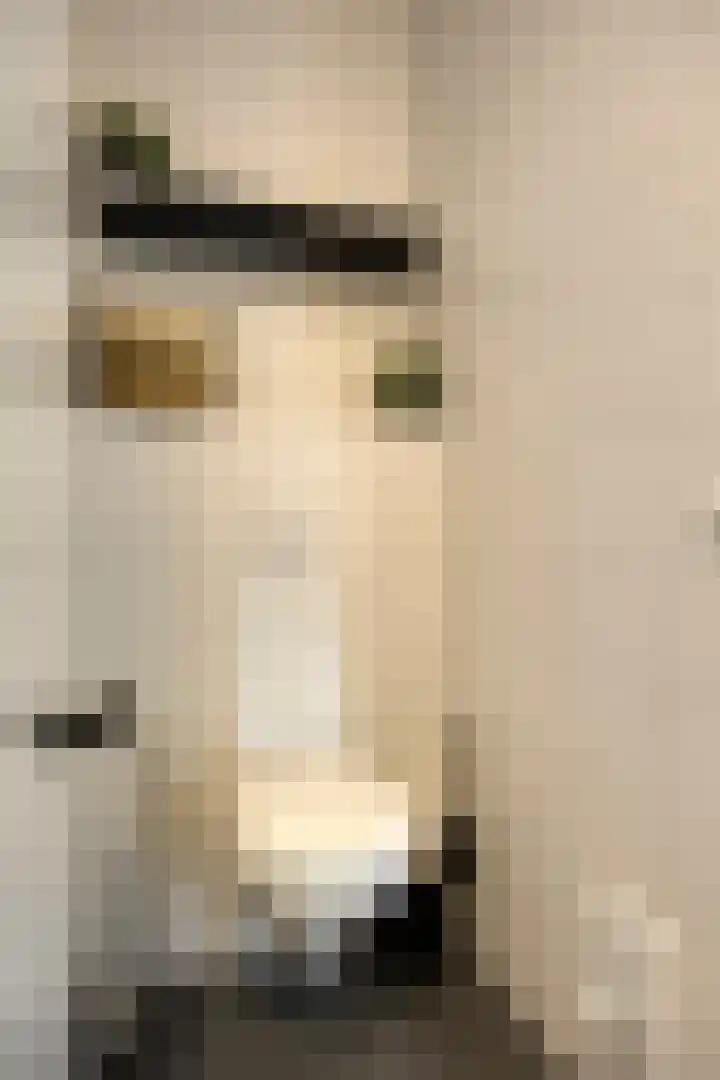 Kuifeend 51 Bedum thumbnail 32