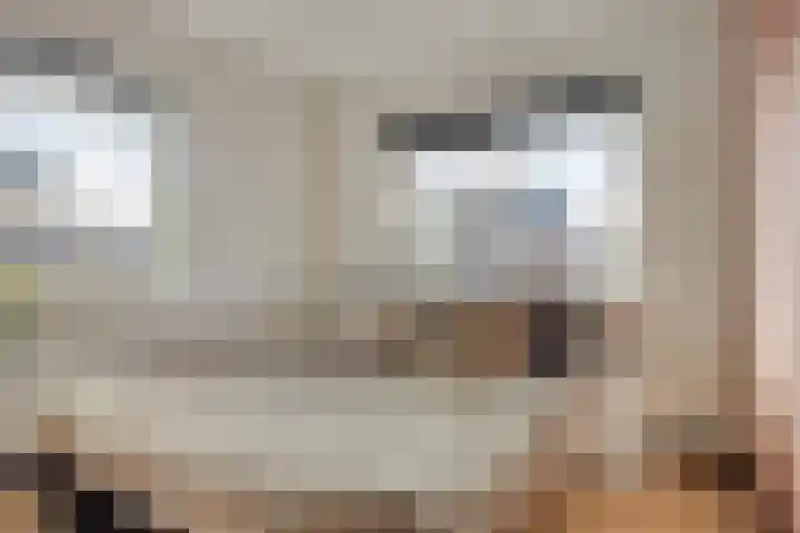Kuifeend 51 Bedum thumbnail 34