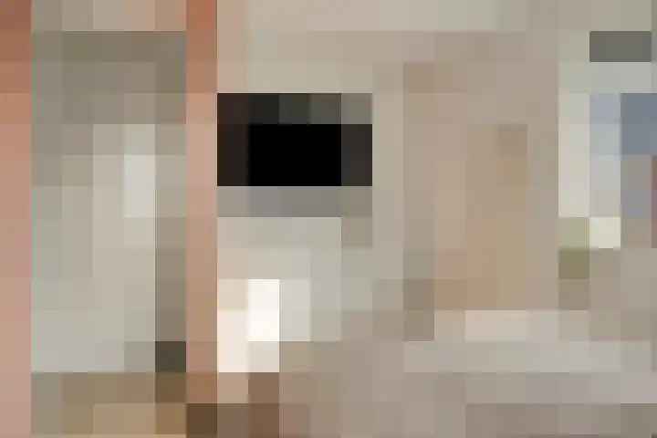 Kuifeend 51 Bedum thumbnail 35