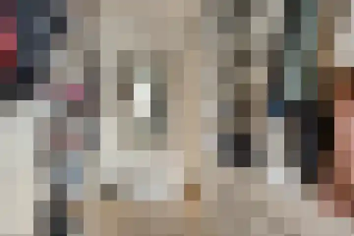 Kuifeend 51 Bedum thumbnail 37