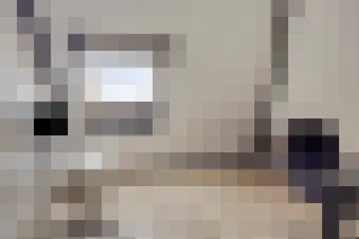 Kuifeend 51 Bedum thumbnail 39